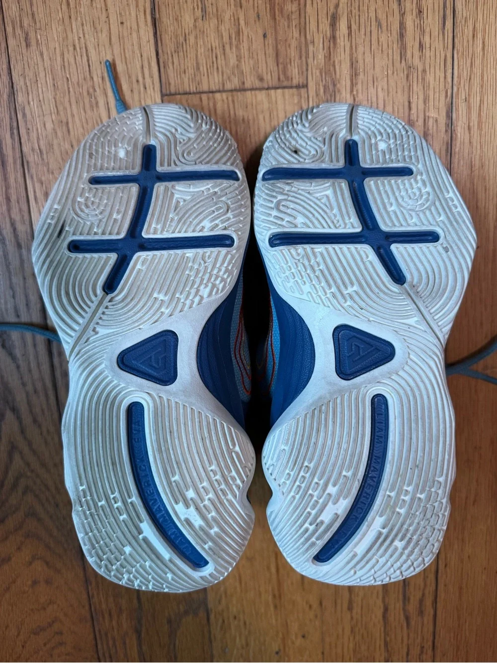 Kids Giannis Nike Blue basketball shoes